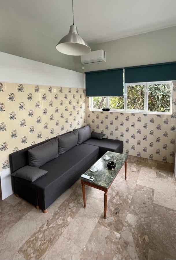 Aegean Summer House Poros Town Ngoại thất bức ảnh