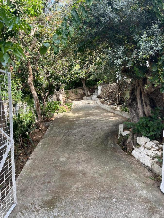 Aegean Summer House Poros Town Ngoại thất bức ảnh