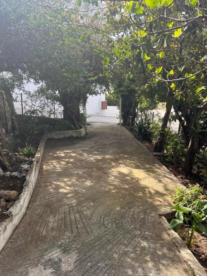 Aegean Summer House Poros Town Ngoại thất bức ảnh